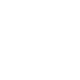 icon flowchart