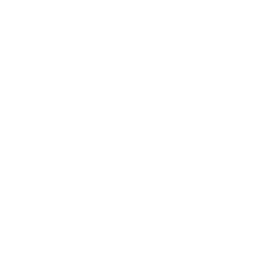 icon gear 30