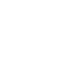 icon light bulb