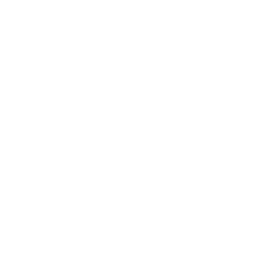 icon shield check