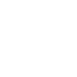 icon spray painting